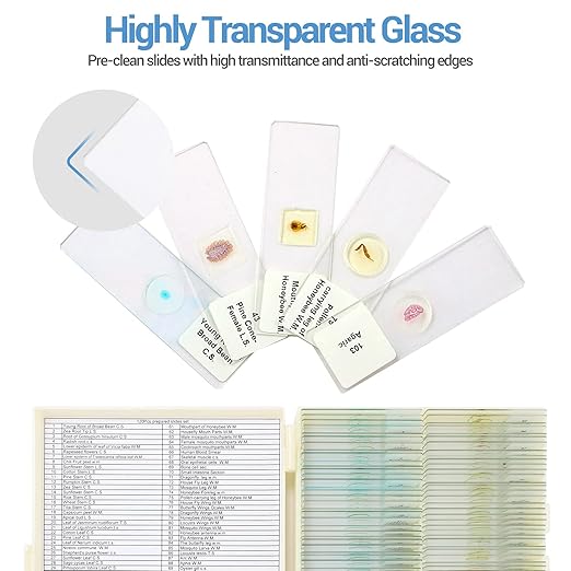 120 Microscope Slides with Specimens for Kids, Prepared Microscope Slides for Kids Microbiology, Prepared Microscope Slides for Adults