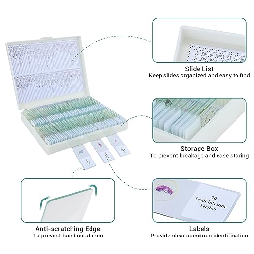 100 Microscope Slides with Specimens for Kids and Adults, Prepared Microscope Slides with Plants Animals Insects for Students Homeschool Edu