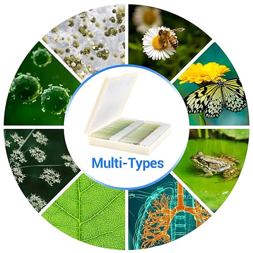 100 Prepared Microscope Slides with Specimens for Kids Adults - Bacterium, Fungus, Human Tissues, Mitosis, Plants, Insects, Animals Cells Samples for Biological Science Lab, School Students